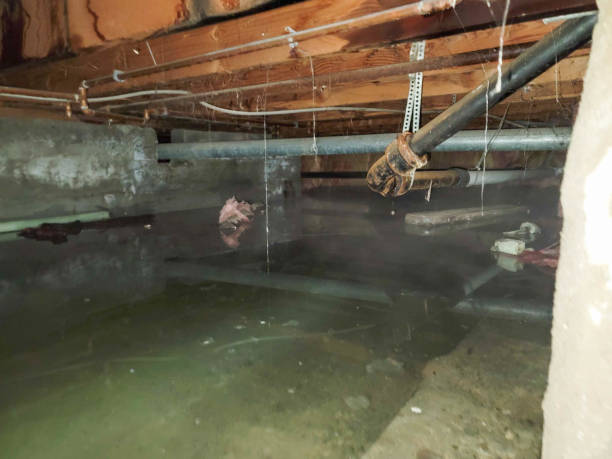 Best Crawl Space Water Damage Solutions in USA